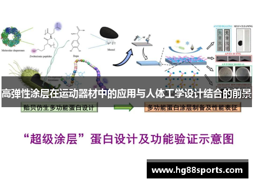 高弹性涂层在运动器材中的应用与人体工学设计结合的前景